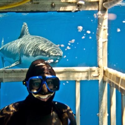 shark smile - selfiestick.bg